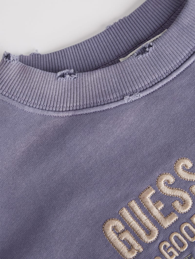 Script Logo Crewneck Sweatshirt