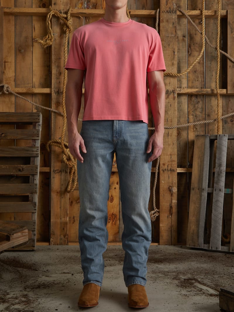 distressed logo tee
