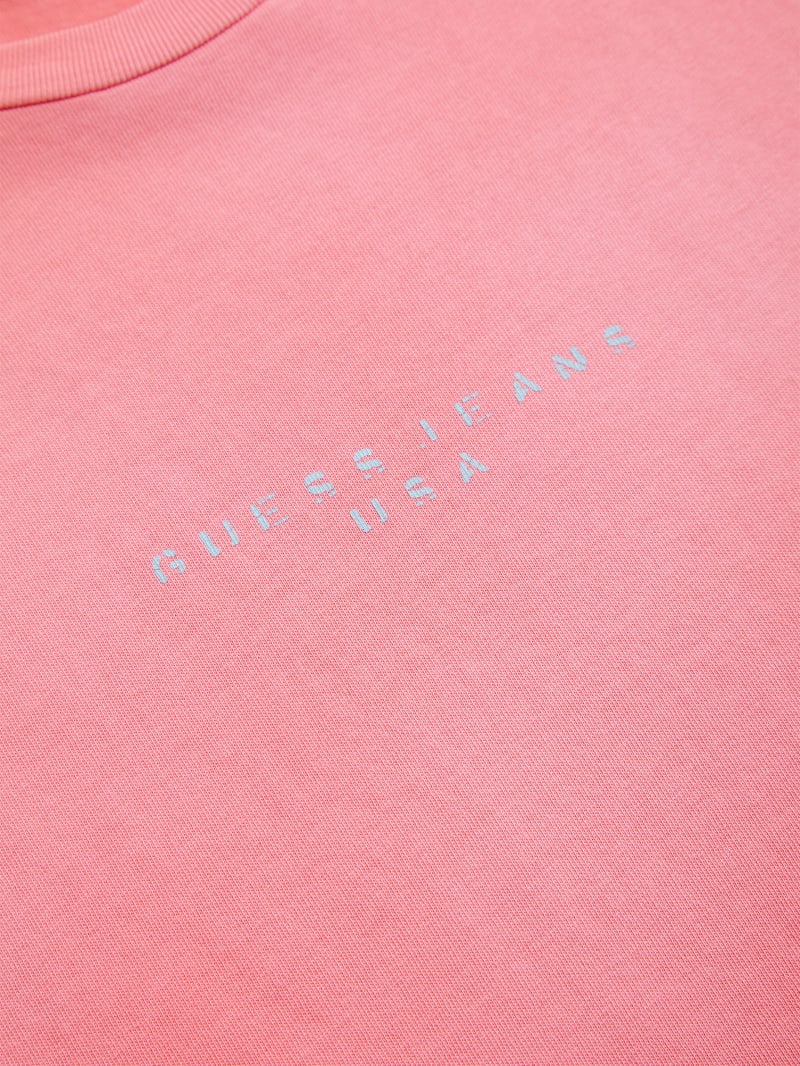 distressed logo tee