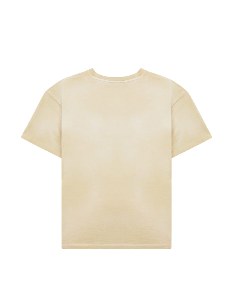 distressed logo tee