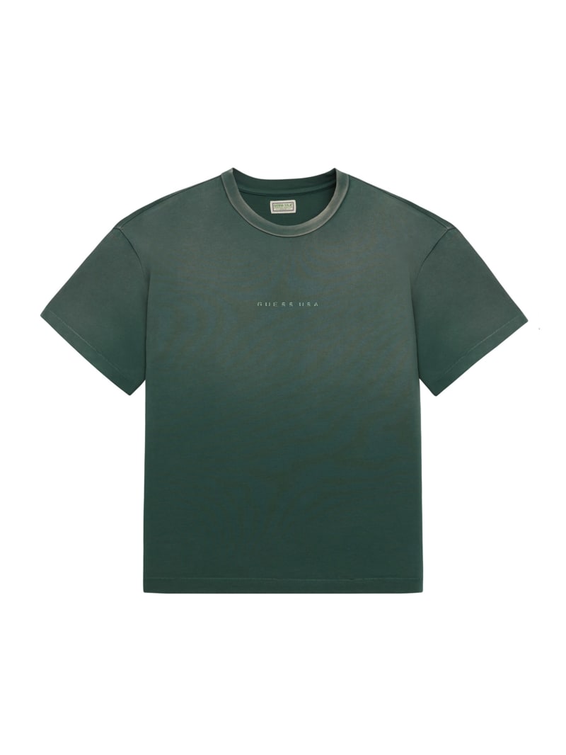 distressed logo tee