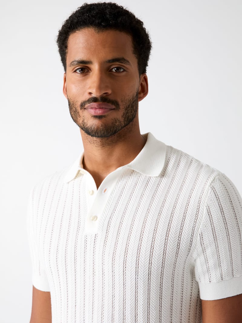 Polo Sweater